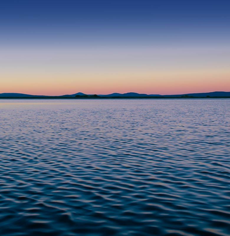 home_musician_zoombox2